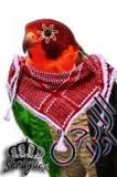 صورة العضو الشخصية